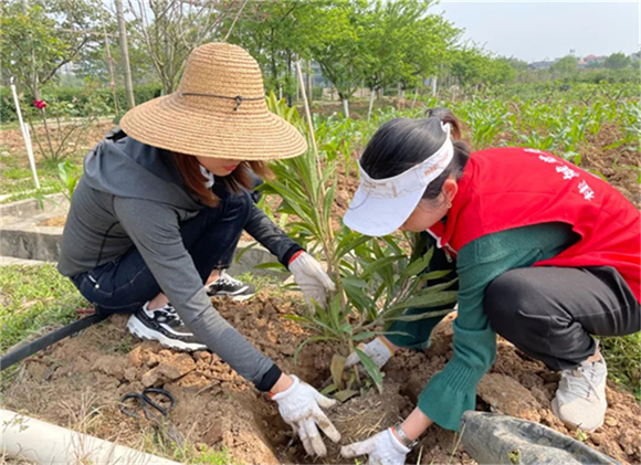 推行绿企创建，重现碧水蓝天——广东世寰智能党支部开展植树节主题党日活动